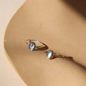 Abalone Ring